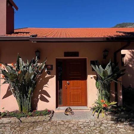Villa Quinta De Gestacos Gerês Exterior foto